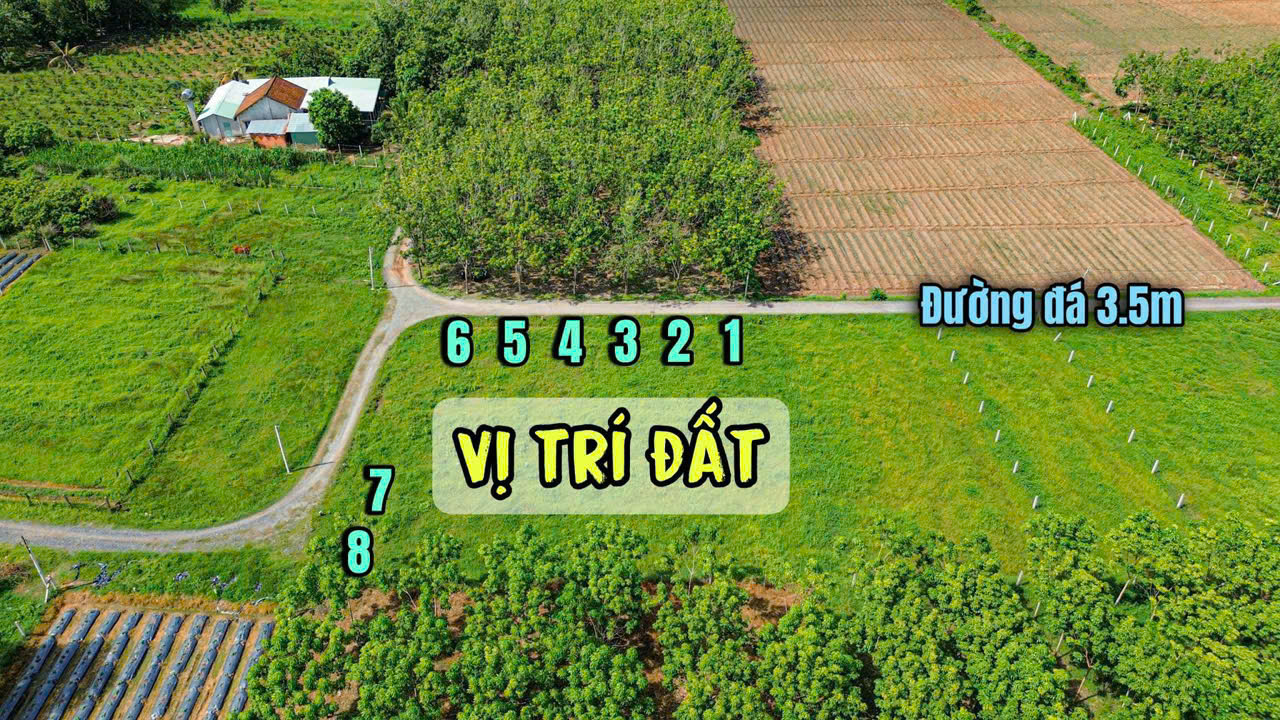 Dự án đất nền ấp rộc a thạnh đức gò dầu tây ninh - Ảnh 4